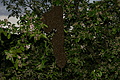 DSC10198 - Bernhard Saalfeld