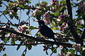 DSC10199 - Bernhard Saalfeld