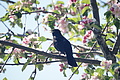 DSC10206 - Bernhard Saalfeld