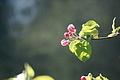 DSC10209 - Bernhard Saalfeld