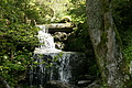 DSC10211 - Bernhard Saalfeld