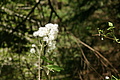 DSC10212 - Bernhard Saalfeld