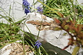 DSC10232 - Bernhard Saalfeld
