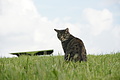 DSC10264 - Bernhard Saalfeld