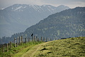 DSC10269 - Bernhard Saalfeld