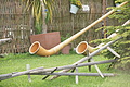 DSC10275 - Bernhard Saalfeld