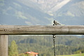 DSC10280 - Bernhard Saalfeld