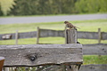 DSC10281 - Bernhard Saalfeld