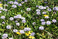 DSC10288 - Bernhard Saalfeld