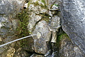 DSC10293 - Bernhard Saalfeld