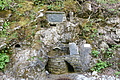 DSC10294 - Bernhard Saalfeld
