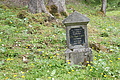 DSC10296 - Bernhard Saalfeld