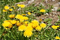 DSC10299 - Bernhard Saalfeld