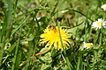 DSC10300 - Bernhard Saalfeld