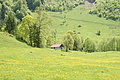 DSC10324 - Bernhard Saalfeld