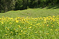 DSC10325 - Bernhard Saalfeld
