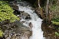 DSC10340 - Bernhard Saalfeld