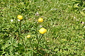 DSC10344 - Bernhard Saalfeld