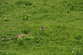 DSC10349 - Bernhard Saalfeld
