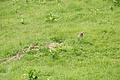 DSC10354 - Bernhard Saalfeld