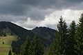 DSC10387 - Bernhard Saalfeld