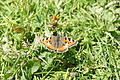 DSC10391 - Bernhard Saalfeld