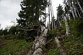 DSC10397 - Bernhard Saalfeld