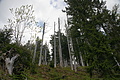 DSC10398 - Bernhard Saalfeld