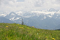 DSC10405 - Bernhard Saalfeld
