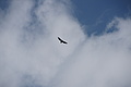 DSC10409 - Bernhard Saalfeld