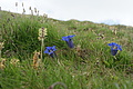DSC10411 - Bernhard Saalfeld