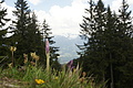 DSC10413 - Bernhard Saalfeld