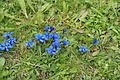 DSC10415 - Bernhard Saalfeld