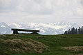 DSC10418 - Bernhard Saalfeld