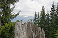 DSC10419 - Bernhard Saalfeld