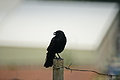 DSC10469 - Bernhard Saalfeld