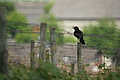 DSC10472 - Bernhard Saalfeld
