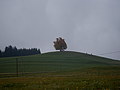 Bild0385 - Bernhard Saalfeld