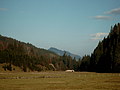 Bild0421 - Bernhard Saalfeld