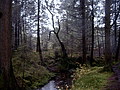 Bild0439 - Bernhard Saalfeld