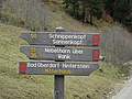MVC-695F - Bernhard Saalfeld