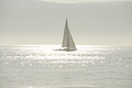 DSC00159 - Bernhard Saalfeld
