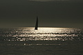 DSC00163 - Bernhard Saalfeld