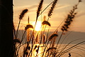 DSC00179 - Bernhard Saalfeld
