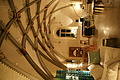 DSC00200 - Bernhard Saalfeld