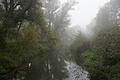 DSC00219 - Bernhard Saalfeld