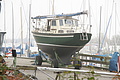 DSC00224 - Bernhard Saalfeld