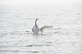 DSC00228 - Bernhard Saalfeld