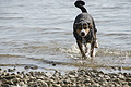 DSC00231 - Bernhard Saalfeld