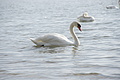 DSC00232 - Bernhard Saalfeld